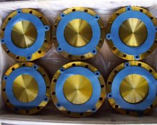 ss flange