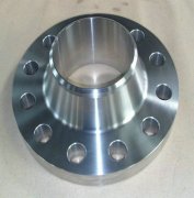 Weld Neck Stainless Forged Flange