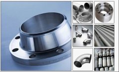 flange cover